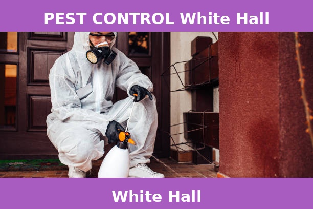 PEST CONTROL White Hall